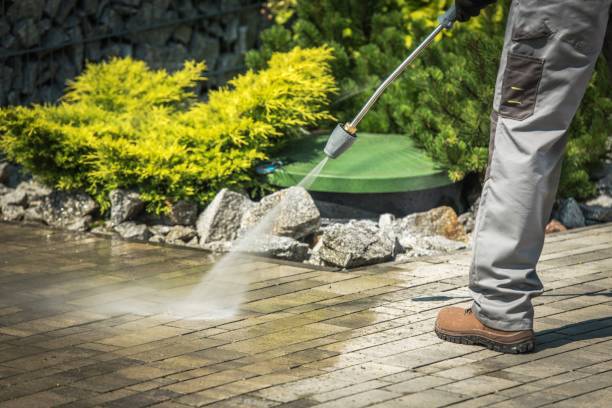 Best Gutter Cleaning  in Wabasso, FL
