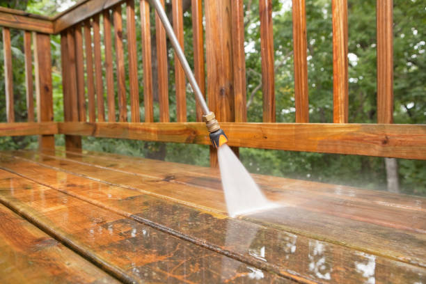 Best Spring Cleaning  in Wabasso, FL